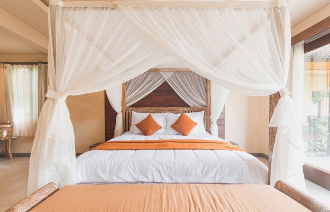 Maecenas ullamcorper